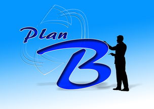 开云官方网页登录-中国篮球职业俱乐部财务风险控制研究，篮球俱乐部企业组织结构图