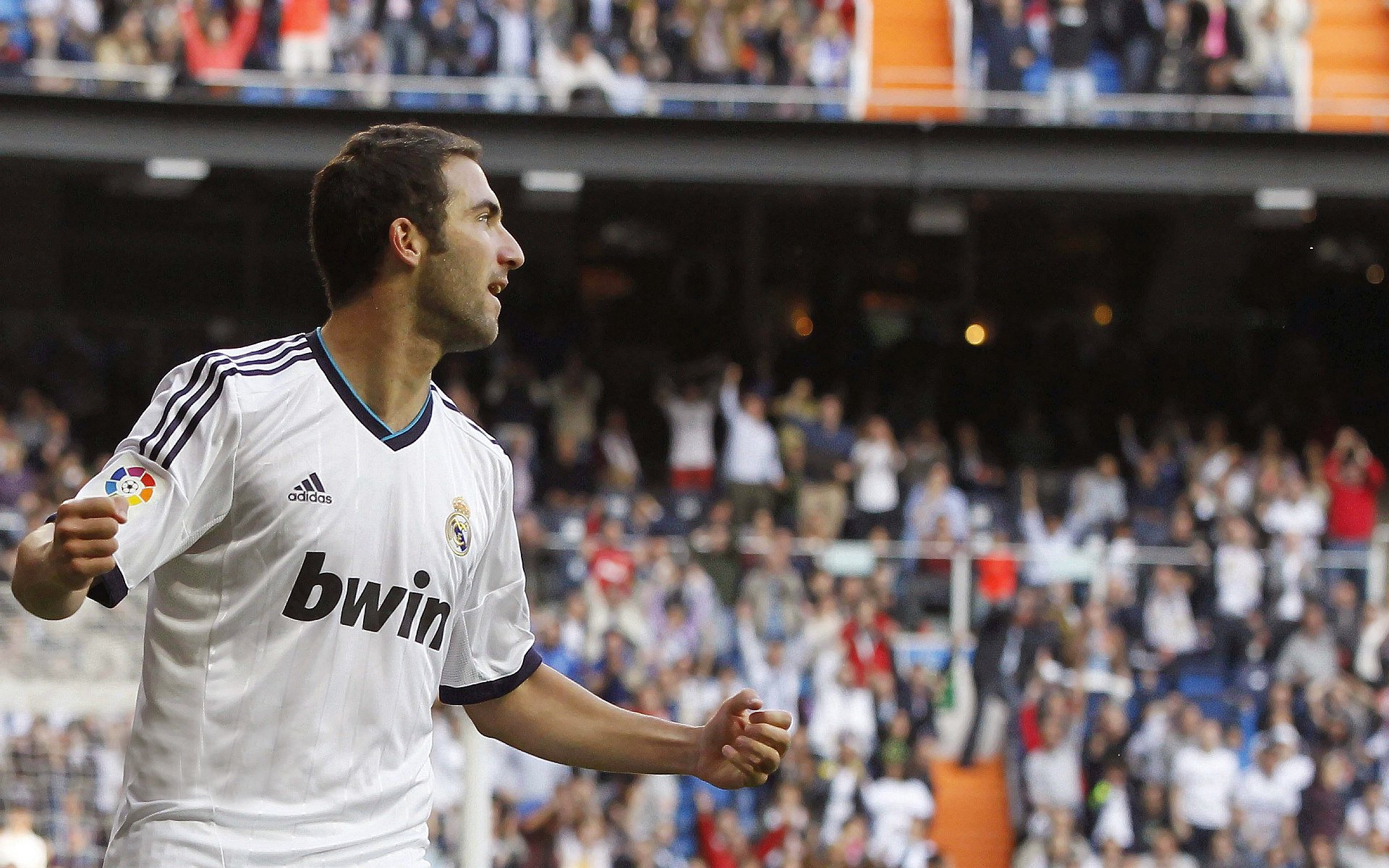 美洲杯的区域文化元素融入，美洲杯宣传海报